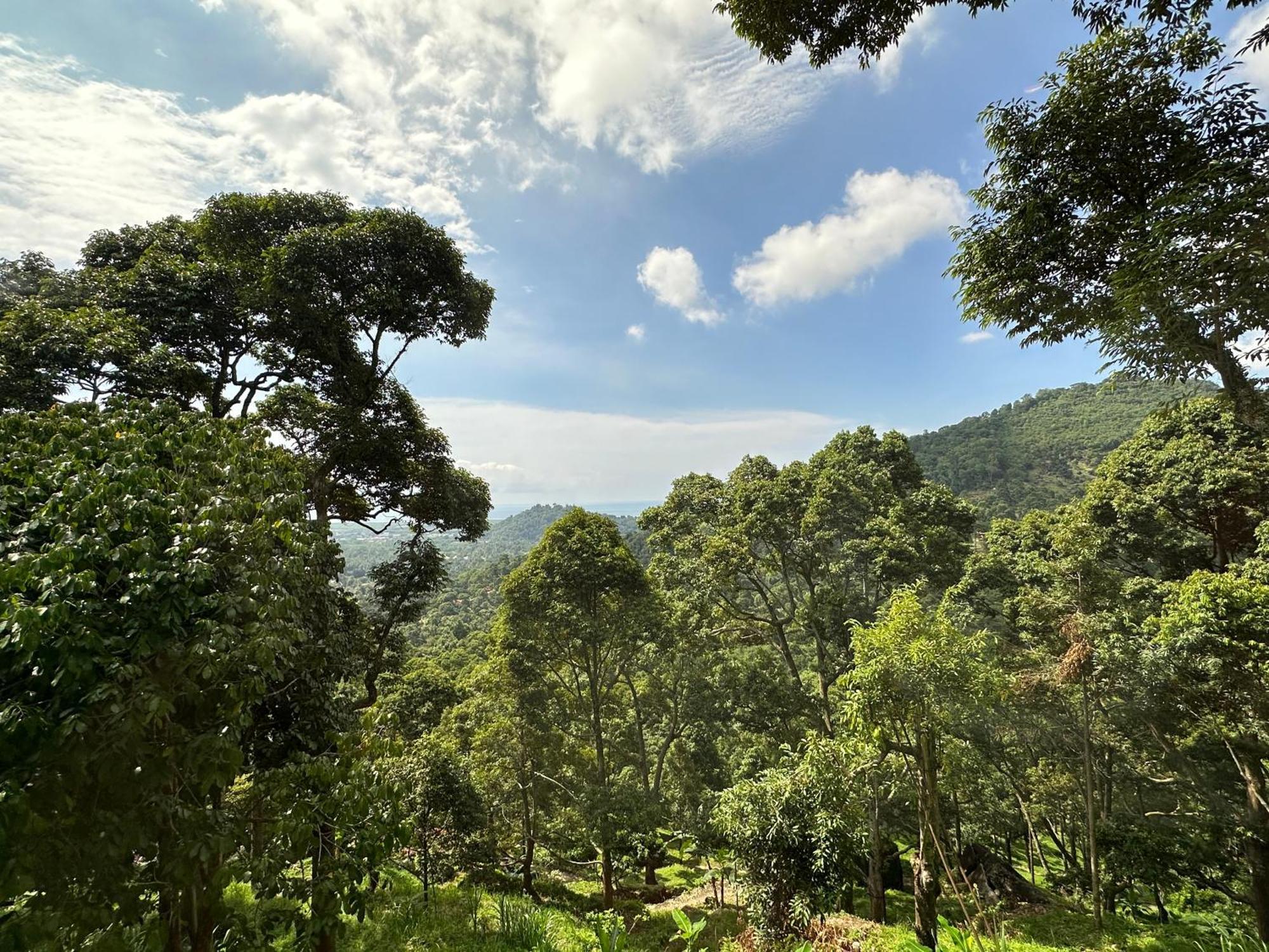 Bao Sheng Durian Farm Villa บาลิคปูเลา ภายนอก รูปภาพ